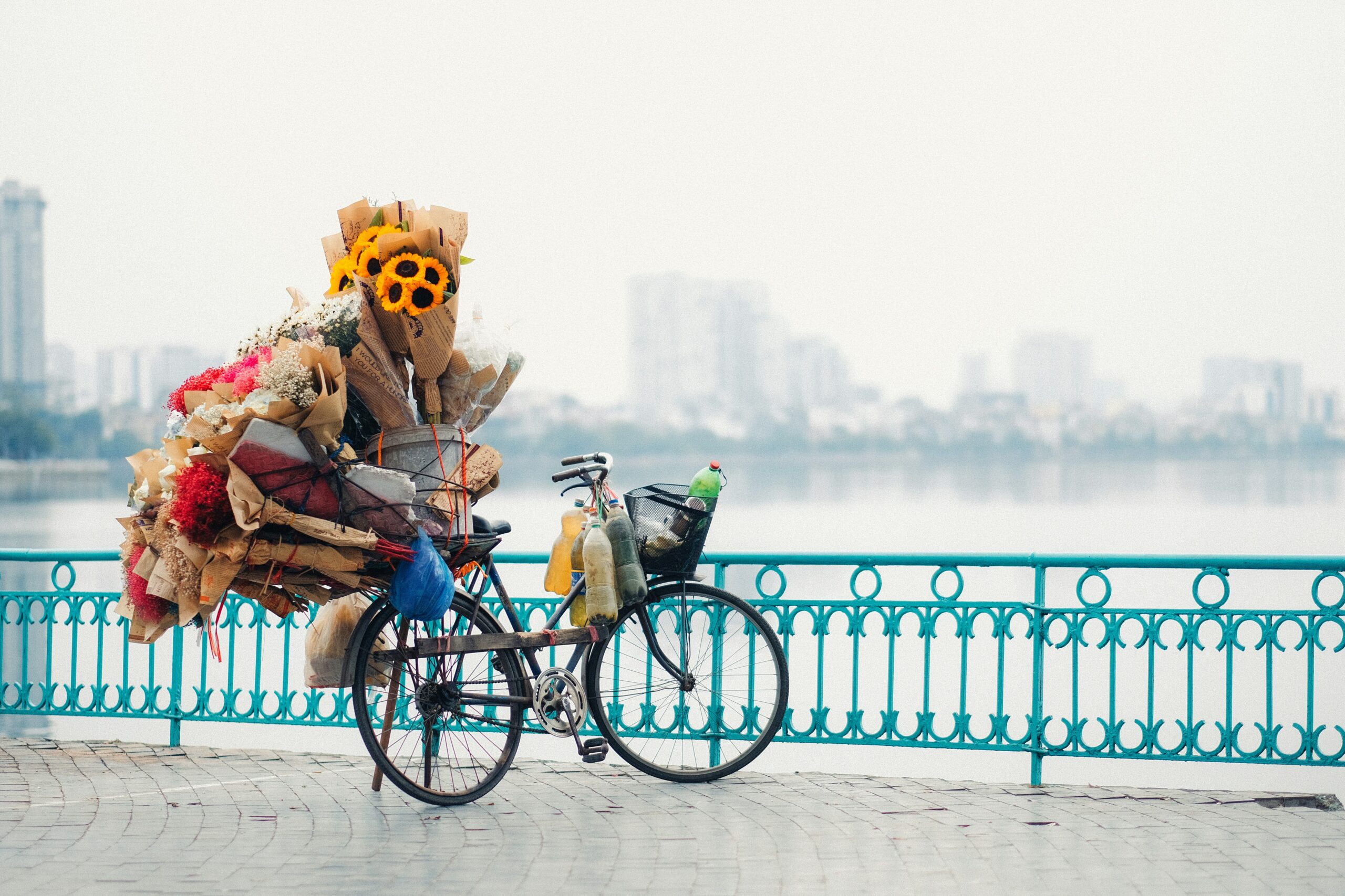 The Berlin Life - Wolt